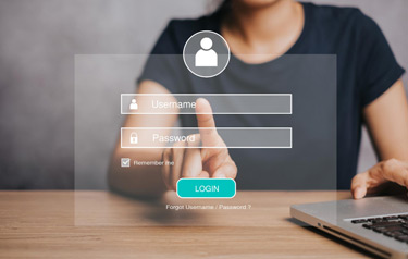 Client Portal Access