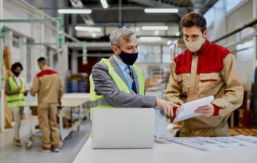 Quality Check & Sorting 