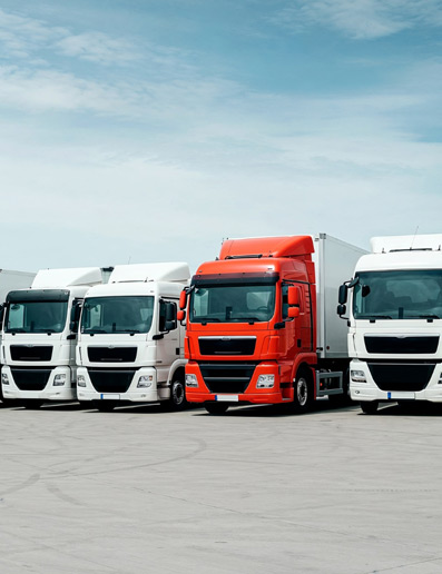 Transportation & Distribution